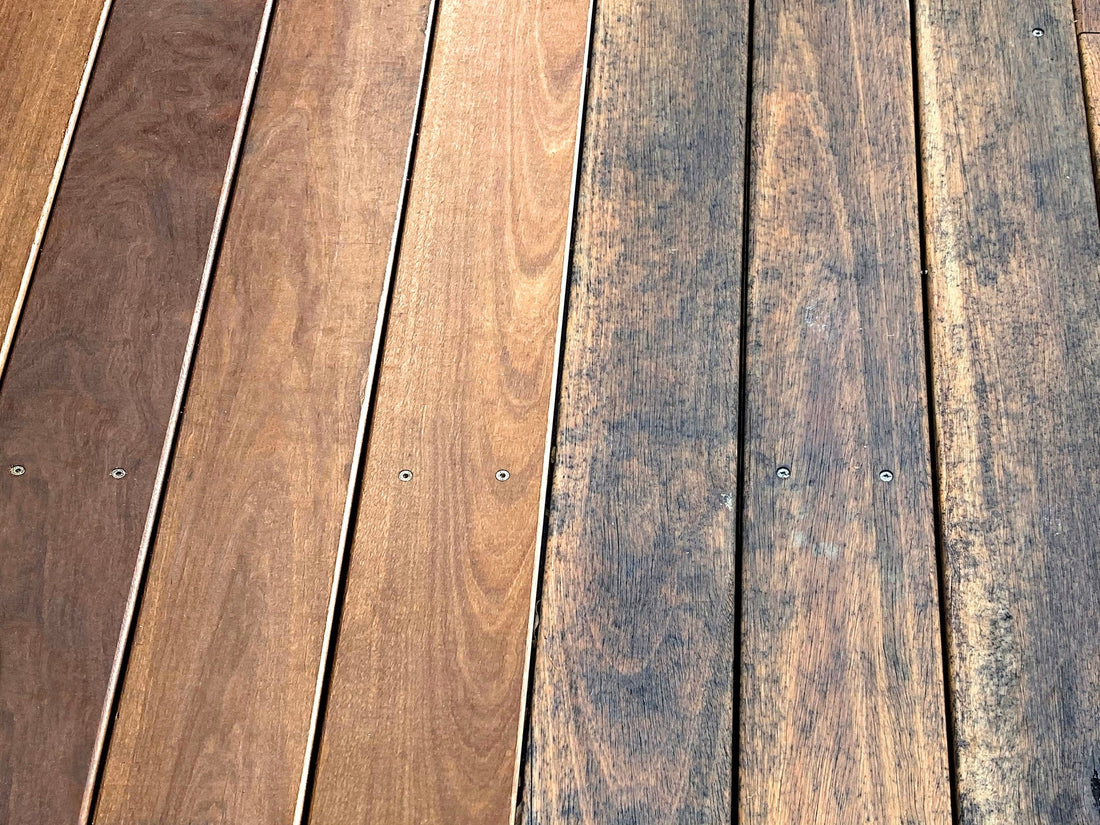 Mould on timber decking